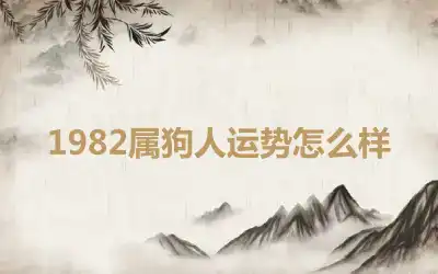 1982属狗人运势怎么样