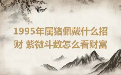 1995年属猪佩戴什么招财 紫微斗数怎么看财富