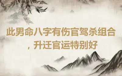 此男命八字有伤官驾杀组合，升迁官运特别好