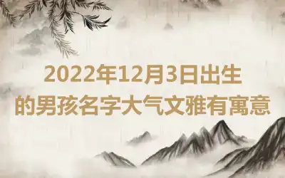 2022年12月3日出生的男孩名字大气文雅有寓意