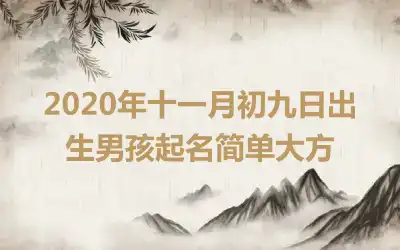 2020年十一月初九日出生男孩起名简单大方