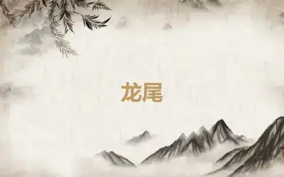 龙尾