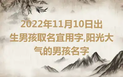 2022年11月10日出生男孩取名宜用字,阳光大气的男孩名字