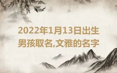 2022年1月13日出生男孩取名,文雅的名字