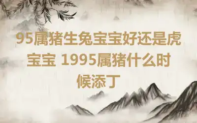 95属猪生兔宝宝好还是虎宝宝 1995属猪什么时候添丁