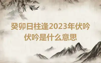 癸卯日柱逢2023年伏吟 伏吟是什么意思