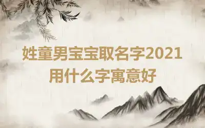 姓童男宝宝取名字2021 用什么字寓意好