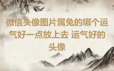 微信头像图片属兔的哪个运气好一点放上去 运气好的头像