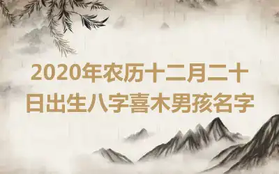 2020年农历十二月二十日出生八字喜木男孩名字