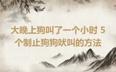 大晚上狗叫了一个小时 5个制止狗狗吠叫的方法