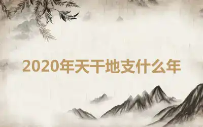 2020年天干地支什么年