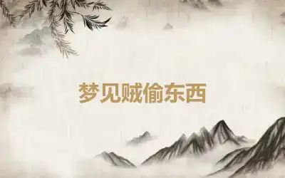 梦见贼偷东西