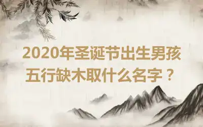 2020年圣诞节出生男孩五行缺木取什么名字？