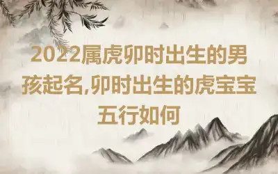 2022属虎卯时出生的男孩起名,卯时出生的虎宝宝五行如何