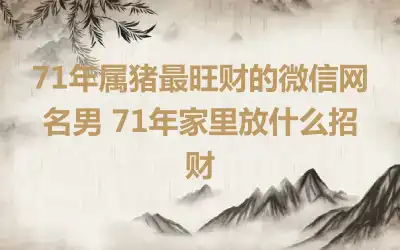 71年属猪最旺财的微信网名男 71年家里放什么招财