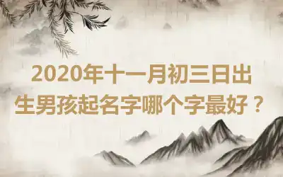 2020年十一月初三日出生男孩起名字哪个字最好？