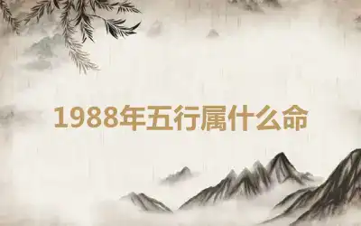 1988年五行属什么命