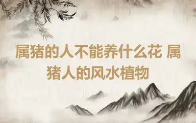 属猪的人不能养什么花 属猪人的风水植物