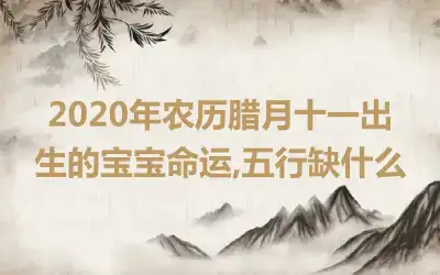 2020年农历腊月十一出生的宝宝命运,五行缺什么