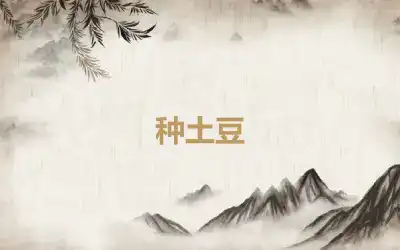 种土豆