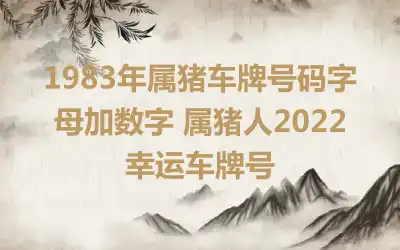 1983年属猪车牌号码字母加数字 属猪人2022幸运车牌号