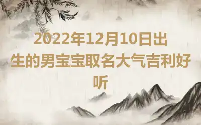 2022年12月10日出生的男宝宝取名大气吉利好听