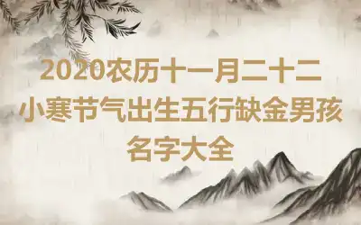 2020农历十一月二十二小寒节气出生五行缺金男孩名字大全