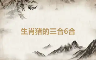 生肖猪的三合6合