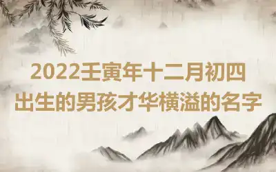 2022壬寅年十二月初四出生的男孩才华横溢的名字