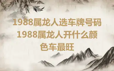 1988属龙人选车牌号码 1988属龙人开什么颜色车最旺