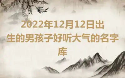 2022年12月12日出生的男孩子好听大气的名字库