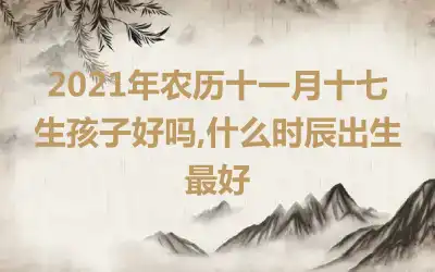 2021年农历十一月十七生孩子好吗,什么时辰出生最好