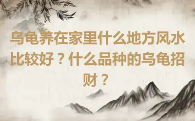 乌龟养在家里什么地方风水比较好？什么品种的乌龟招财？