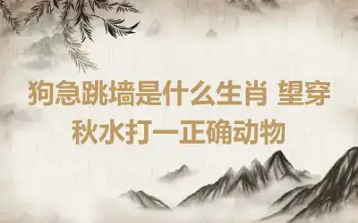 狗急跳墙是什么生肖 望穿秋水打一正确动物