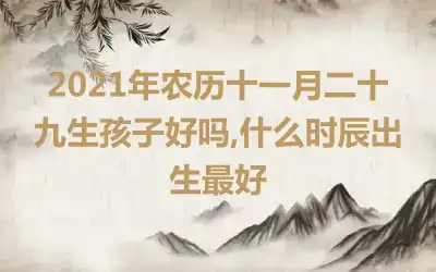 2021年农历十一月二十九生孩子好吗,什么时辰出生最好