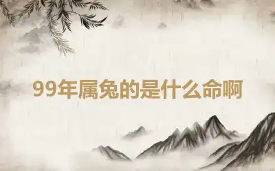 99年属兔的是什么命啊