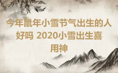 今年鼠年小雪节气出生的人好吗 2020小雪出生喜用神