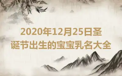 2020年12月25日圣诞节出生的宝宝乳名大全