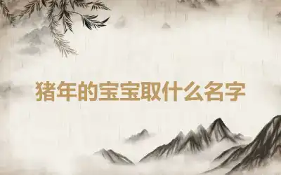 猪年的宝宝取什么名字