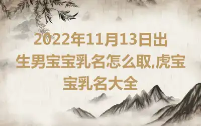 2022年11月13日出生男宝宝乳名怎么取,虎宝宝乳名大全