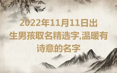 2022年11月11日出生男孩取名精选字,温暖有诗意的名字