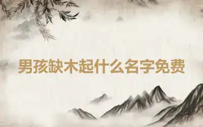 男孩缺木起什么名字免费