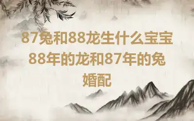 87兔和88龙生什么宝宝 88年的龙和87年的兔婚配