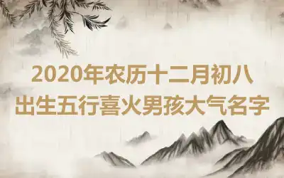 2020年农历十二月初八出生五行喜火男孩大气名字