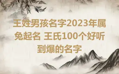 王姓男孩名字2023年属兔起名 王氏100个好听到爆的名字