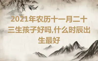 2021年农历十一月二十三生孩子好吗,什么时辰出生最好