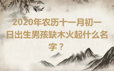 2020年农历十一月初一日出生男孩缺木火起什么名字？