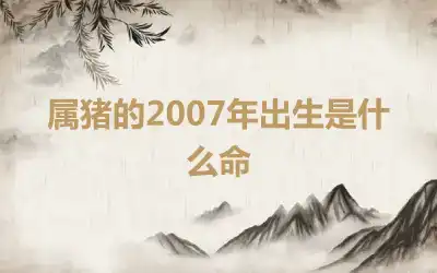 属猪的2007年出生是什么命