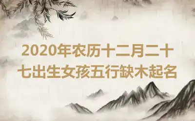 2020年农历十二月二十七出生女孩五行缺木起名