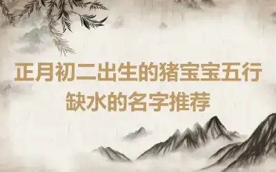 正月初二出生的猪宝宝五行缺水的名字推荐